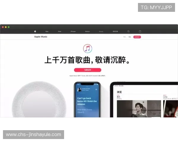 奥门金沙app手机版安卓安全稳定运行的详细设置与优化技巧